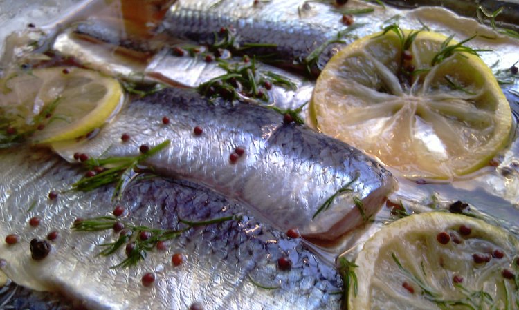 herring 2